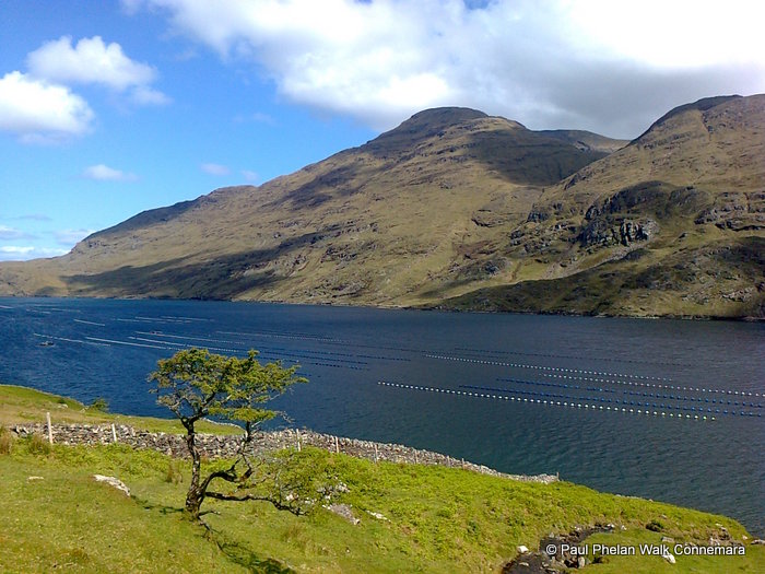 Killary Harbour/Fjord Famine Walk