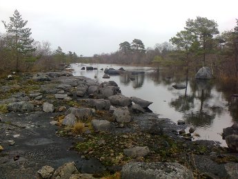 Cong river and limestone pavement