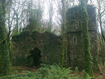 Ruined castle near Cong