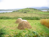 Traditional Haystacks