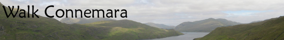 The Wild Atlantic Way: Looking up the Killary Harbour from Salruck