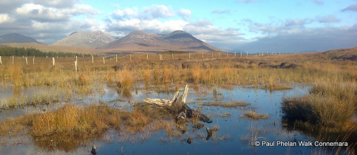 Roundstone Bog Adventure